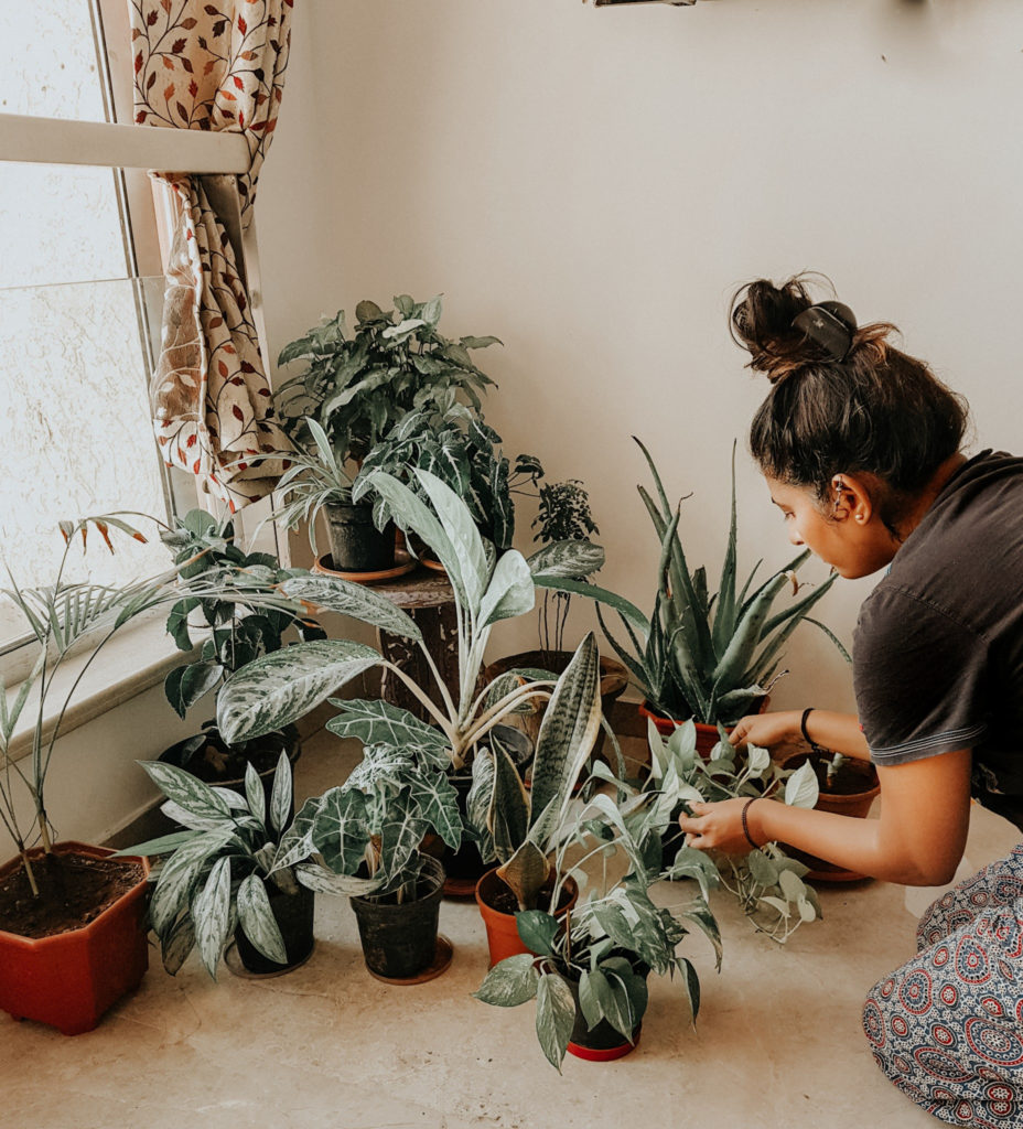 with Indoor Plants - Indoor Photoshoot Ideas